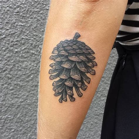 Black Ink Pine Cone Tattoo On Left Arm Pinecone Tattoo Tattoo Illustration Tattoo Designs