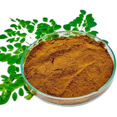 Moringa Oleifera Drum Stick Leaf Extract Powder At Best Price In