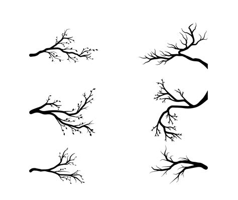 Set of Tree Branch in Silhouette 9840204 Vector Art at Vecteezy