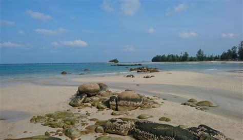 Pantai Trikora Wisata Bahari Yang Mirip Lokasi Syuting Laskar Pelangi