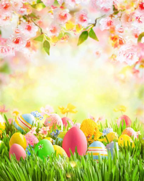 2000 Huevos De Pascua Y Las Flores Fondo Bokeh Fotografías De Stock Fotos E Imágenes Libres