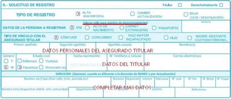 Llenar El Formulario Essalud Formularios Per