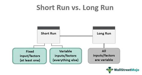 Short Run Definition Economics Examples How It Works