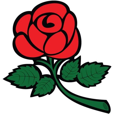 Rosa Vermelha Ilustração Floral Gráfico Baixar Vetores Grátis