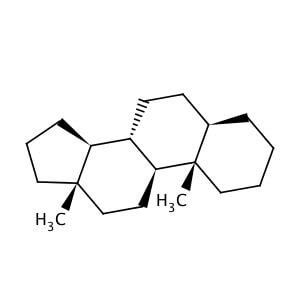 Androstane Cas Scbt Santa Cruz Biotechnology