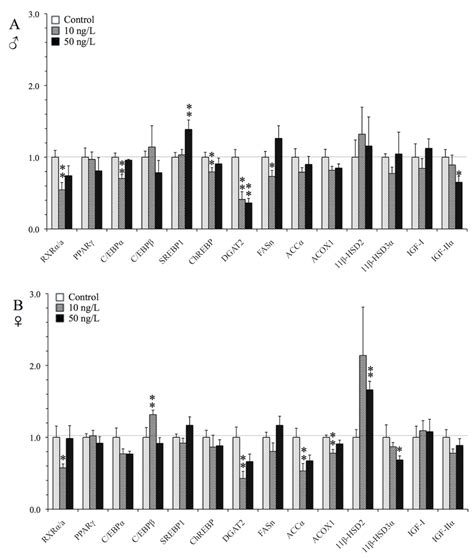 Tbt In Vivo Induction Of Lipogenic Genes In The Brain Qrt Pcr Analysis