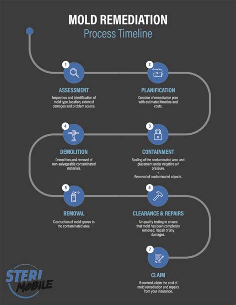 Mold Remediation Timeline Process Steri Mobile