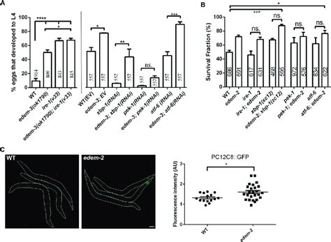 Loss Of Edem And Edem Induces A Similar Er Stress Response As Ire