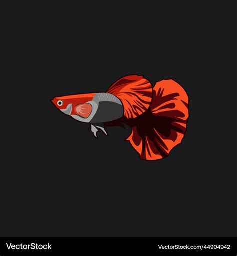 Guppy Rose Tail Design Royalty Free Vector Image