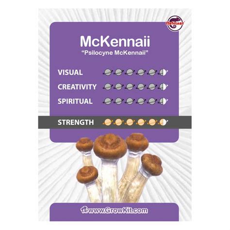 Mckennaii Magic Mushroom Paddo Grow Kit Tatanka Amsterdam Webshop