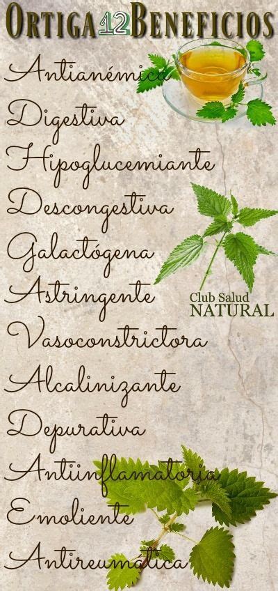 Ortiga La Mala Hierba Fuente De Salud Hierbas Hierbas Curativas Plantas Medicinales