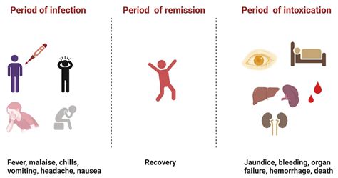 Yellow Fever Symptoms