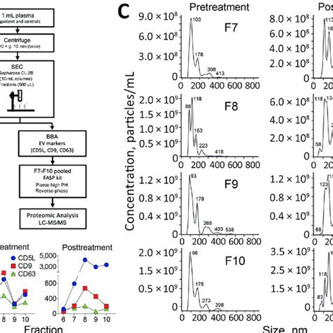 Isolation And Characterization Of Plasma Derived Evs A Schematic