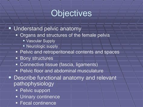 Solution Pelvic Anatomy Studypool