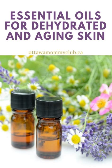 Essential Oils Recipe For Dehydrated And Aging Skin Omc