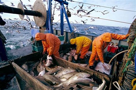 Ressources halieutiques à Dakhla Un Collectif salue les actions