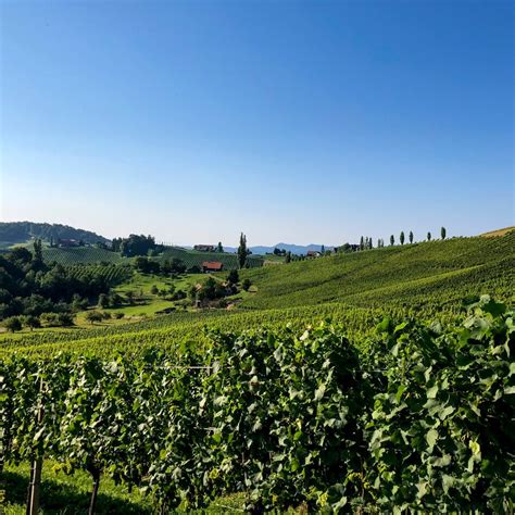 Weinland Steiermark Radtour Variante Südsteiermark