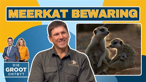 Meerkat Bewaring Gert Van Zyl Junie Youtube