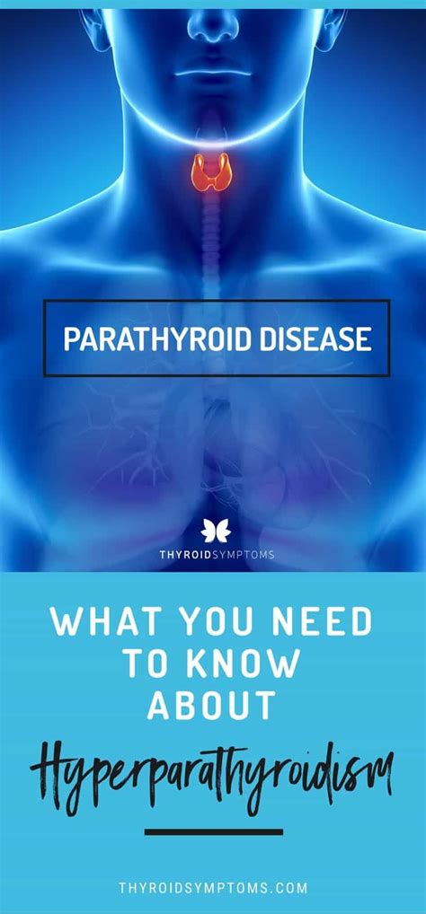 Parathyroid Disease Parathyroid Disease Parathyroid Symptoms Thyroid Disorders