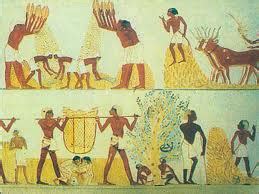 Pharaonic Egypt: Agriculture in ancient Egypt