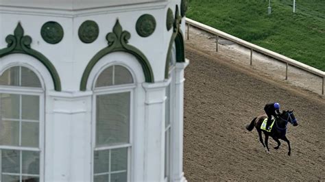 Live Odds Updates On The Kentucky Derby With Latest Betting Lexington