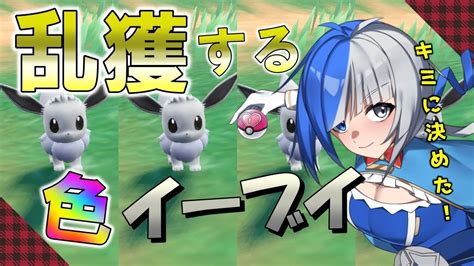 【ポケモンsv】初見さん歓迎！モクロー色違い厳選するよ！【色違い厳選 ジュナイパー 】 Youtube