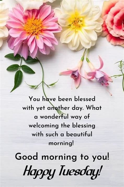 Happy Tuesday Morning Wishes Quotes And Messages