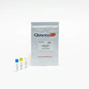 Kit de reactivos en solución qScript Flex QuantaBio solución