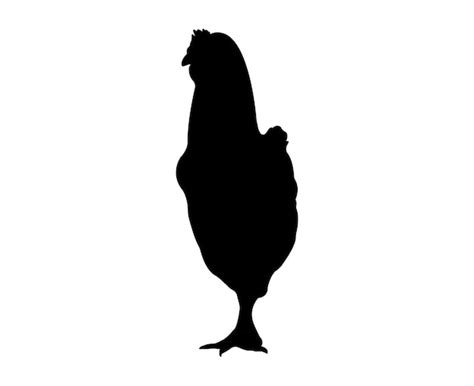 Premium Vector Vector Chicken Silhouette Isolated On White Background