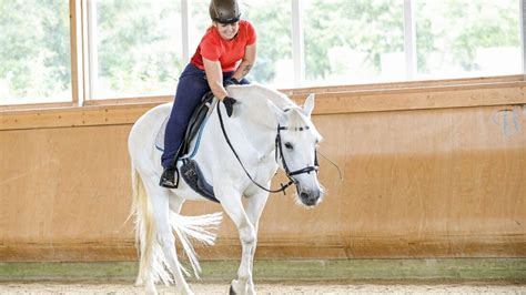 Reiten Lernen Weg Mit Der Longe Und Frei Reiten Cavallode