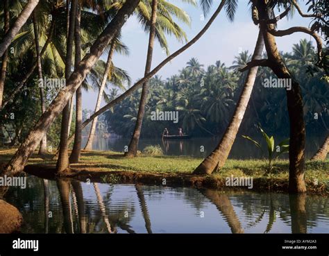 Kerala backwaters India Stock Photo - Alamy