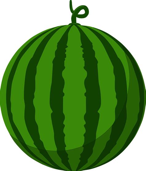 Watermelon Vector Png