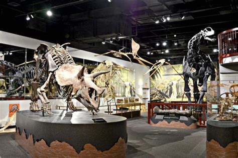 Dinosaur Museum | Tips for Printing your Summer Photos at Home - Brie ...