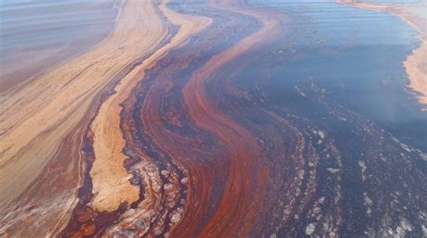 Gulf of Mexico Oil Spill Milestones | Smithsonian Ocean