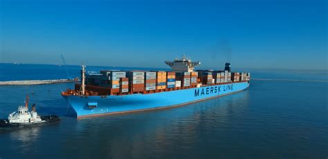 Maersk We Will End Up With Ammonia Or Methanol As A Future Fuel