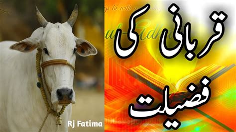 Qurbani Ki Ahmiyat Aur Fazilat Eid Ul Adha Story Urdu Hindi Story Islamic Stories Zil