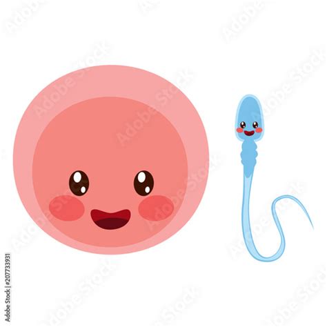 Cute Happy Egg Cell Cartoon Mascot And Sperm Character Stock Vector