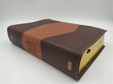 Rvr Biblia De Estudio Holman Chocolate Terracota Piel Italiana