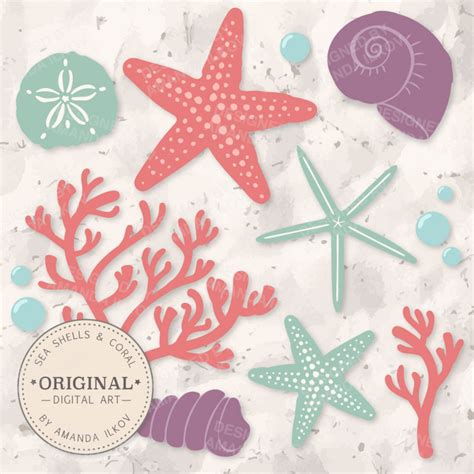 Premium Seashells Clipart Vector Set Vintage Seashells Clip Art