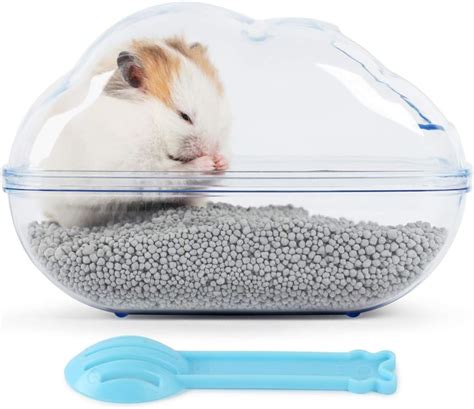 Amazon Bucatstate Hamster Sand Bath Container Large Transparent