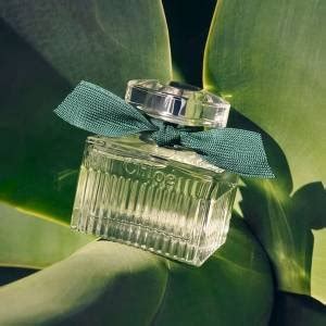 O lançamento do perfume sustentável e vegano que promete te conquistar