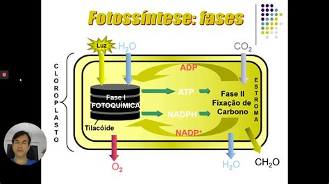 E Aulas Da Usp Fotoss Ntese Aula