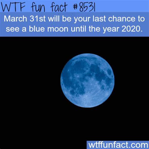 the last day to see a blue moon until 2020 wtf