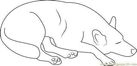 Dog Sleeping At Home Coloring Page Free Dog Coloring Pages