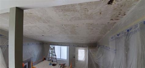 Transformation Tuesday: Popcorn Ceiling Removal Before and After - Harmony Painting