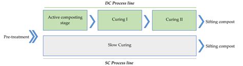 functional scheme   phases  maturation dc  sc sc static