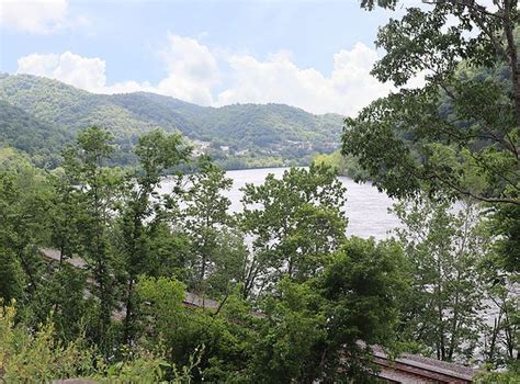 A Train Traveling Through A Lush Green Forest Next To A River Under A