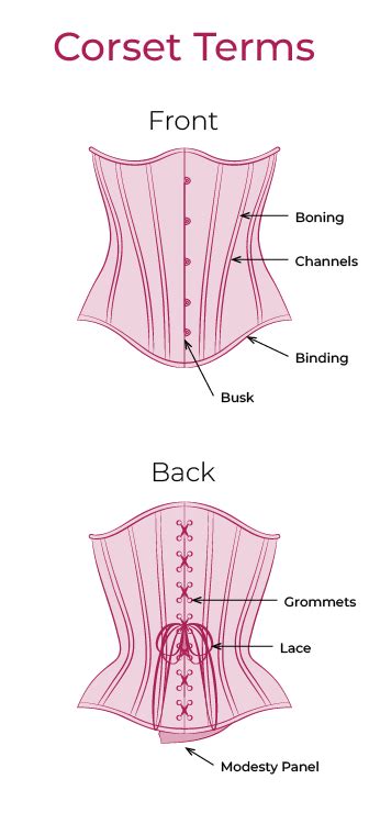 Corset Terminology Skinister Realistic Shapewear