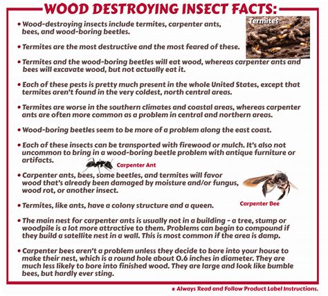 Wood Destroying Insect Control & Products – Maggie's Farm Ltd