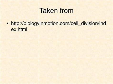 Ppt How Cells Divide Powerpoint Presentation Free Download Id 3070816